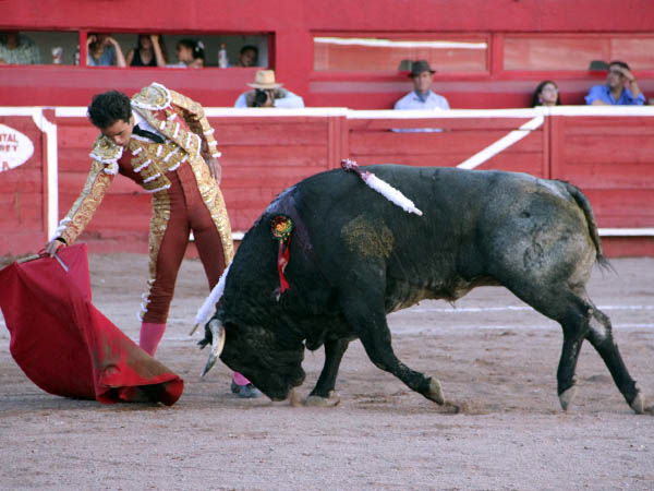 Llev�ndolo toreado