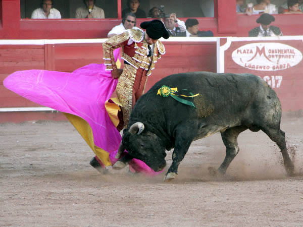 Los vuelos del percal