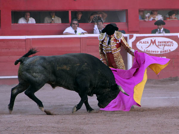 S�nchez, a la ver�nica