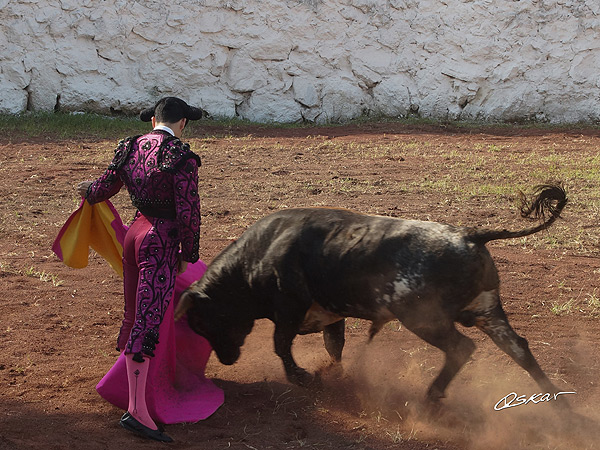 Oliver Godoy, a la ver�nica