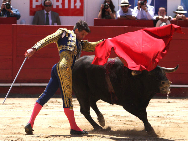 Acompa�ando Alb�n