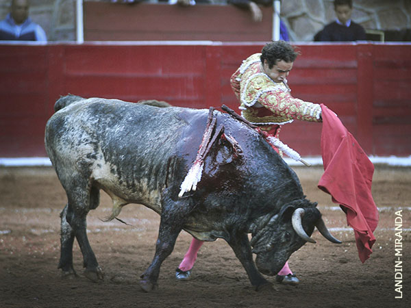 Disfrut� su trasteo