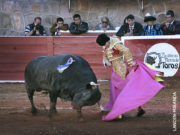 Jaleado en el saludo