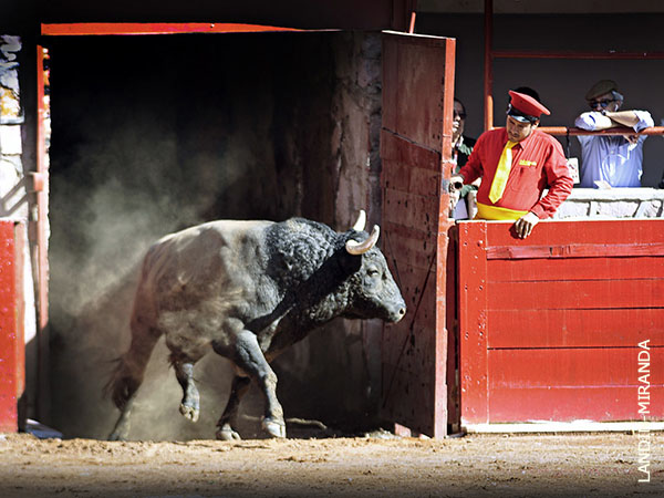 �Comienza la feria!