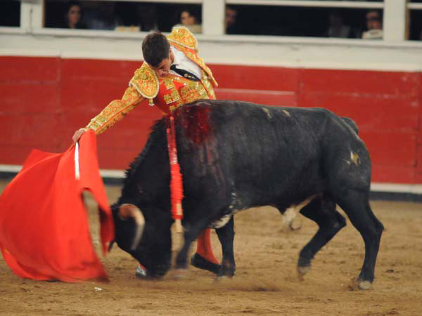 Lechuga tuvo que regalar un novillo