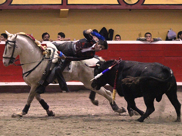 Toro de arrastre lento