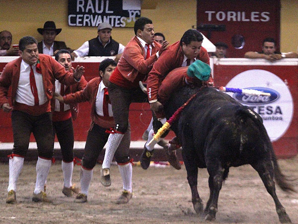 Forcados Amadores de Teziutl�n