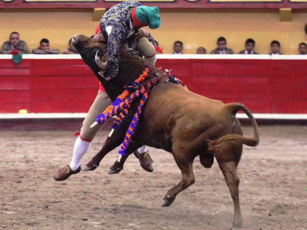 Forcados Amadores de Puebla