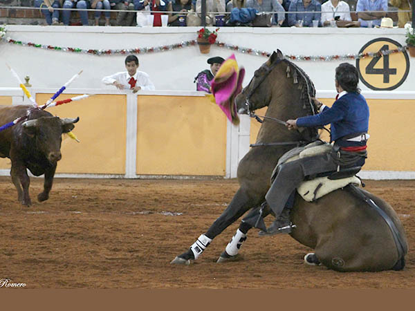 Valientes, caballista y jaca