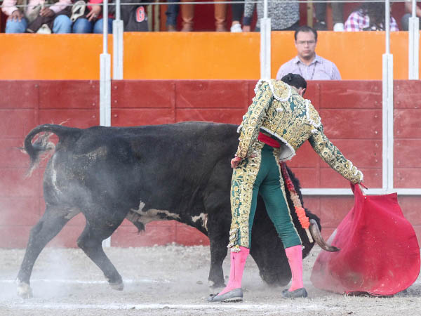 Determinaci�n y mando