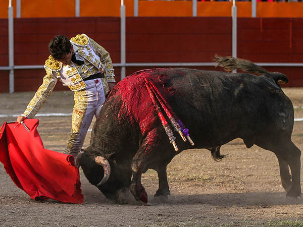 La barbilla en el pecho