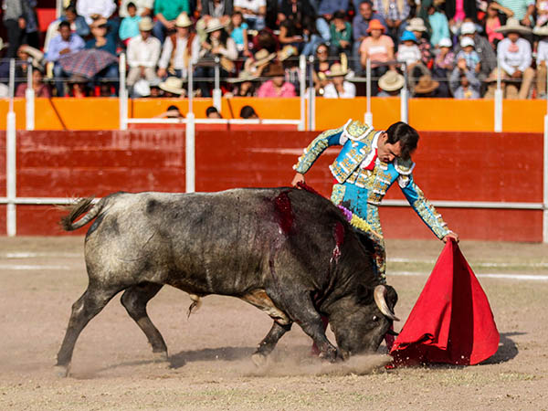 Faena firme y templada