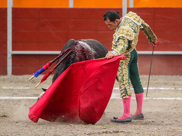 Miguel �ngel, al natural