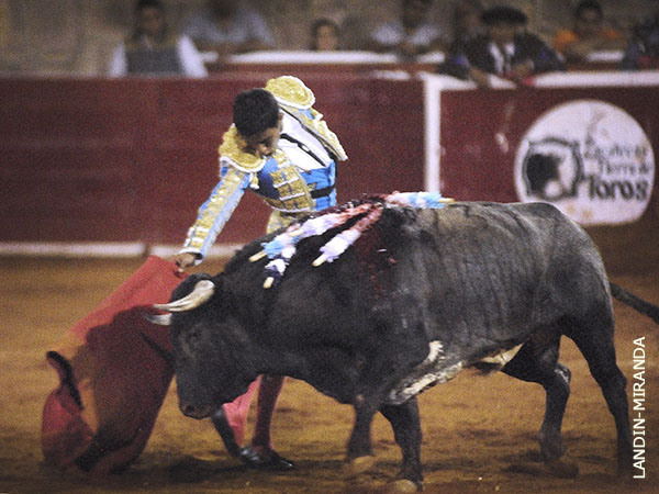 Pases limpios a un toro incierto