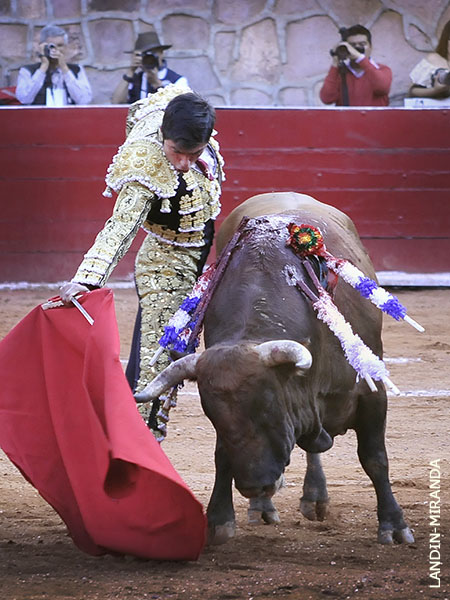 Se plant� en los medios