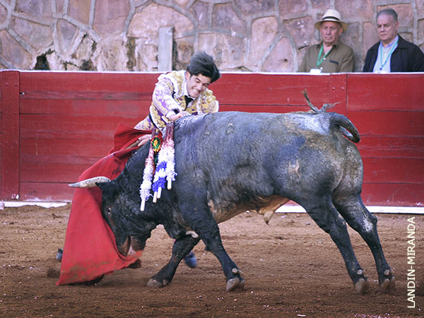 Estocada de limpia ejecuci�n