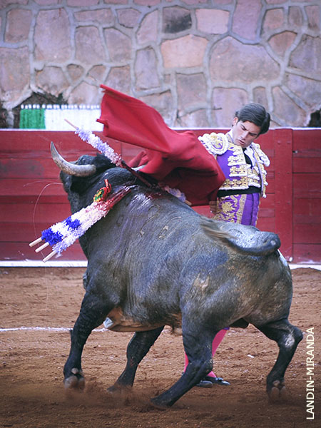 Remates y los adornos con gracia