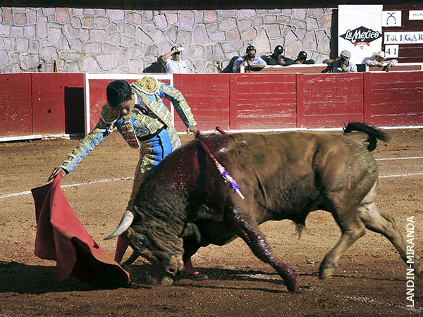 Bosquej� algunos muletazos