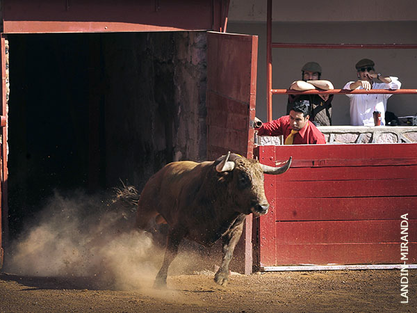 Nacif, atento a la salida
