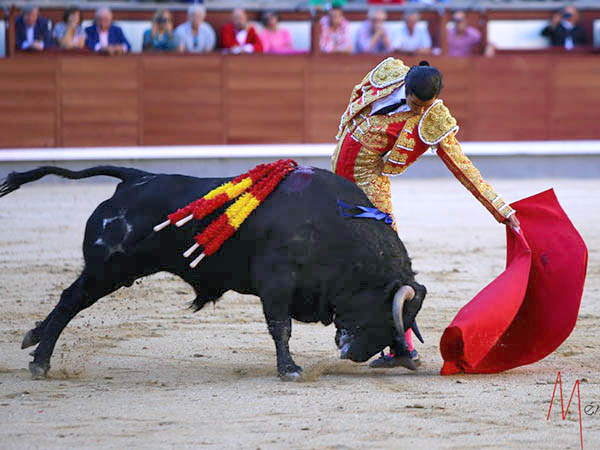 San Rom�n, mostr� su concepto