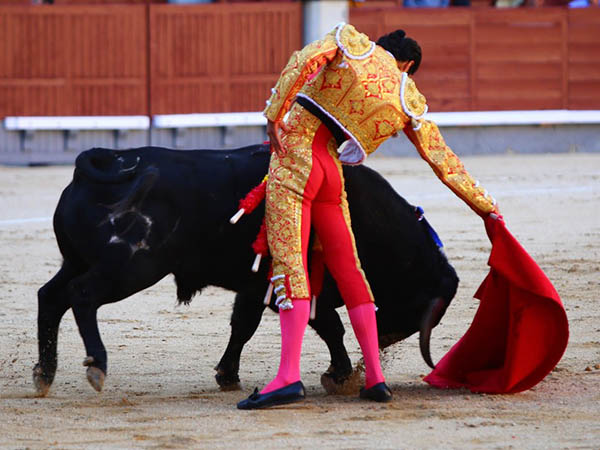 Humillado en la embestida