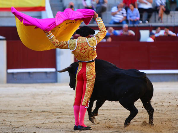 Variedad en los quites