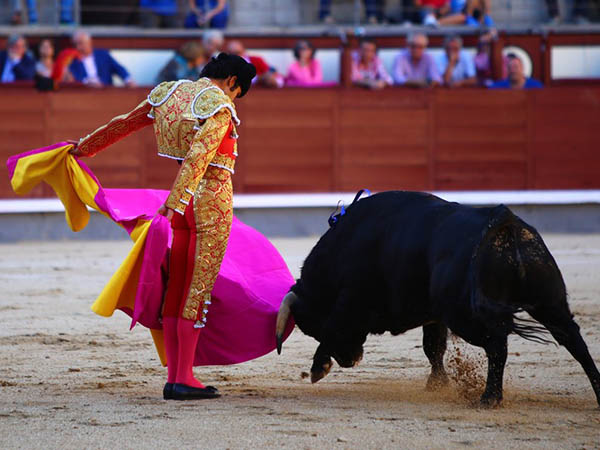 Verticalidad en las gaoneras