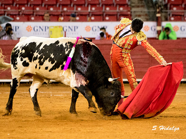 Pases de buena factura