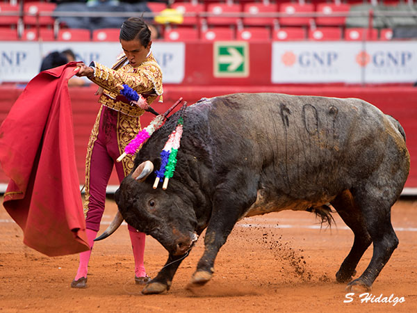 Perfilando su remate