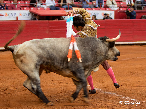 Aplaudido en banderillas