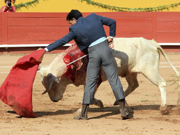 Consintiendo al jabonero