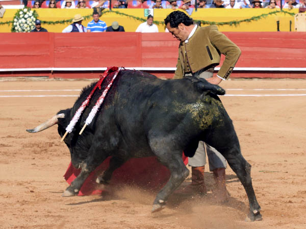 La faena de El Conde