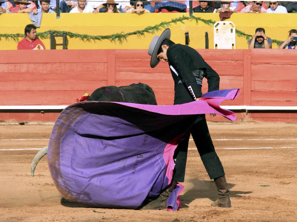 Remate de Jorge Adame