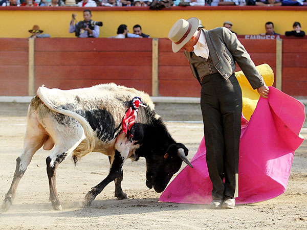 Ra�l Ponce de Le�n, para un cuadro