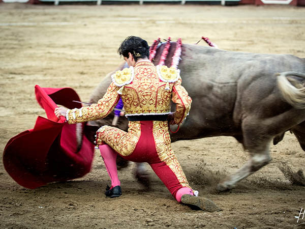 Conduciendo la embestida