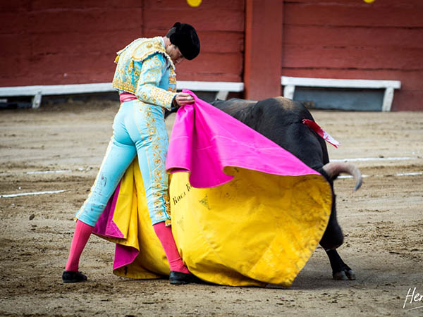 Ver�nicas en los medios