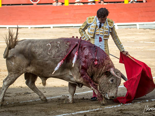 Por el pit�n izquierdo