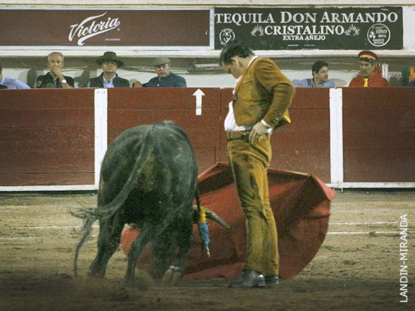 Relajado en la faena