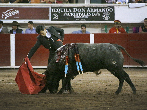 Metido en la canasta