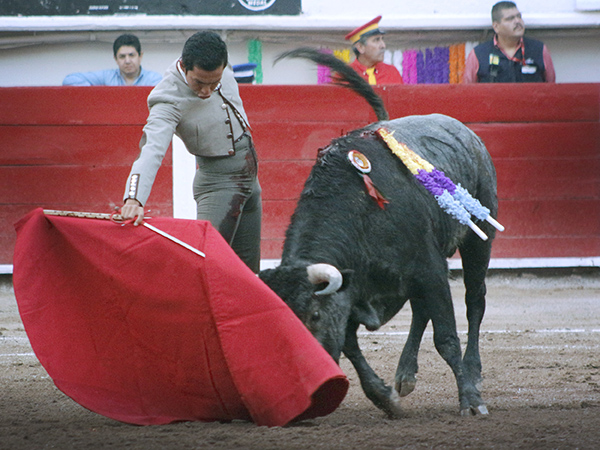 Tirando del c�rdeno