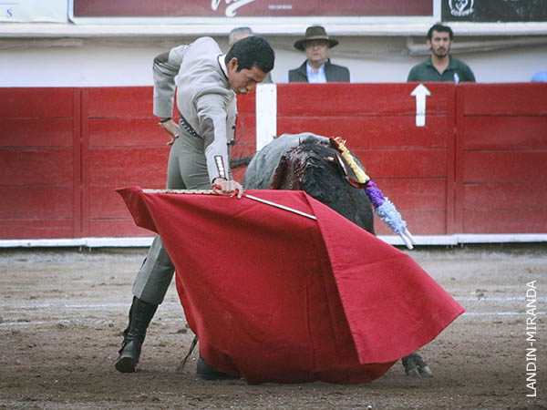 Redondos de vuelta entera