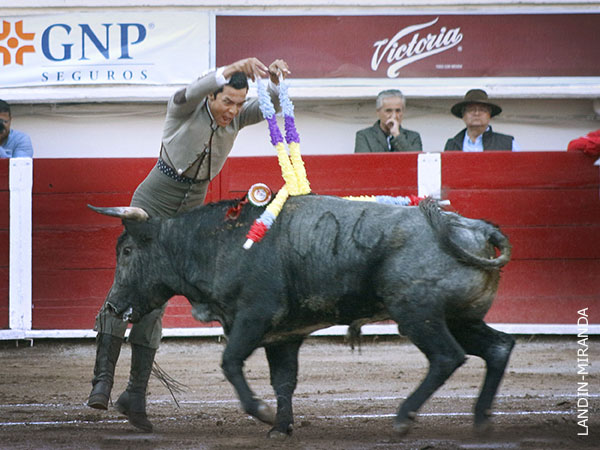 Jaleado en rehiletes