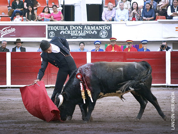 Sin tocar la franela