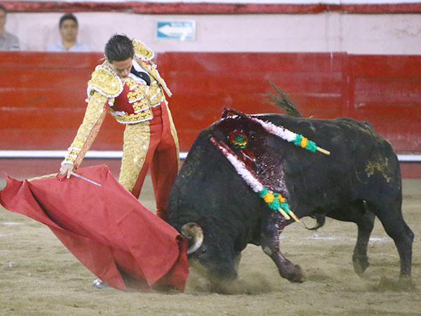 Metido en la canasta