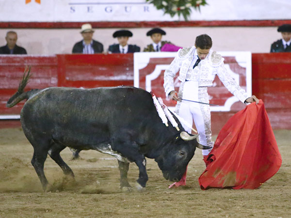 Reposo en los naturales