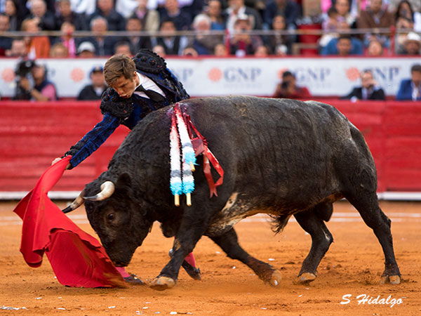 M�xima extenci�n