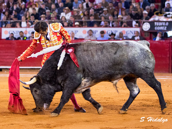 Buen momento de Adame