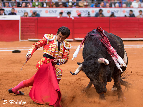 Emocionando al tendido