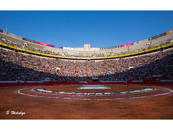 Majestuoso escenario