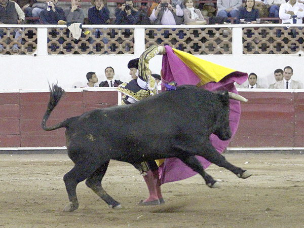 Variedad, cualidad de Andr�s